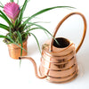 Copper watering can indoor plants