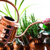 copper small watering can for succulents and cactus plants