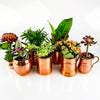 new home ornament copper plant pots