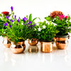 tiny Copper Planter Pots with flowers