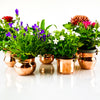 copper plant holders with flowers