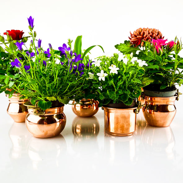 copper plant holders with flowers