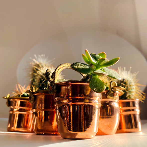 shinny copper buckets for plants